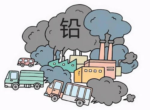 高速沿線綠化與土壤環境防護 為何禁種莊稼，重在防治什么？