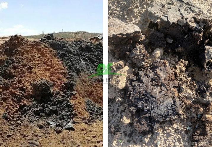 德森環(huán)境 化學(xué)熱洗技術(shù)在石油污染土壤治理中的創(chuàng)新應(yīng)用與專業(yè)實踐